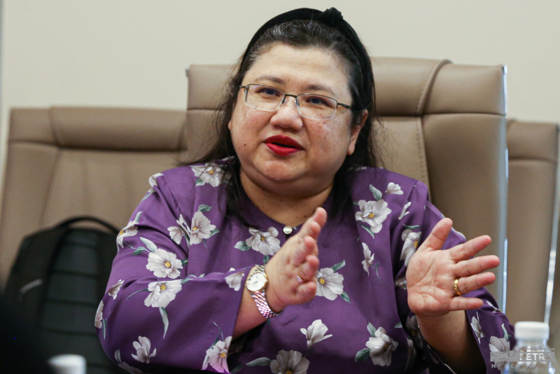 Wan Suraya Named New Auditor General Malaysia The Vibes