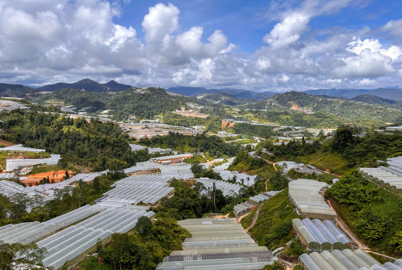 Lojing Highlands Orang Asli community asks for secondary school, fire station