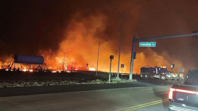Death toll from Hawaii wildfires rises to 89: reports