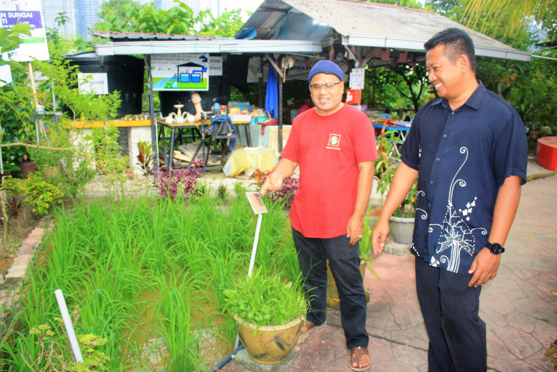 Klang Valley B40 groups grow rice paddy, sell veggies to curb inflation