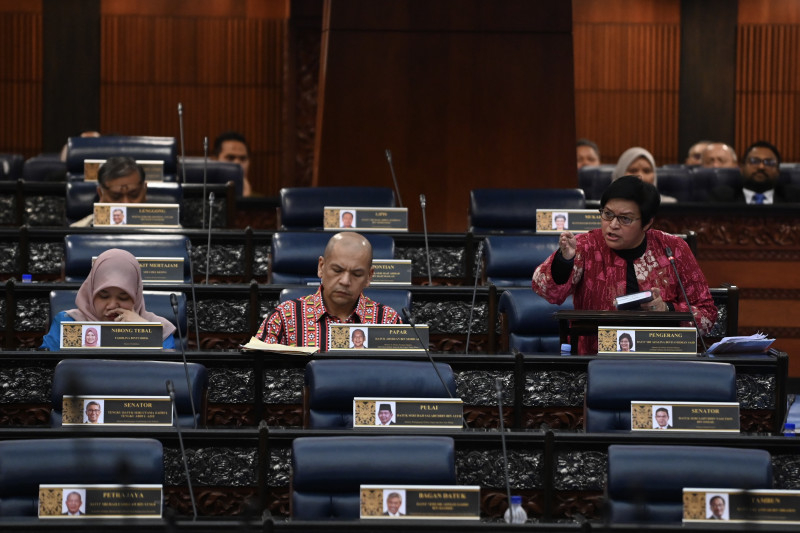 ‘Where did wealth of those implicated in Pandora Papers come from?’