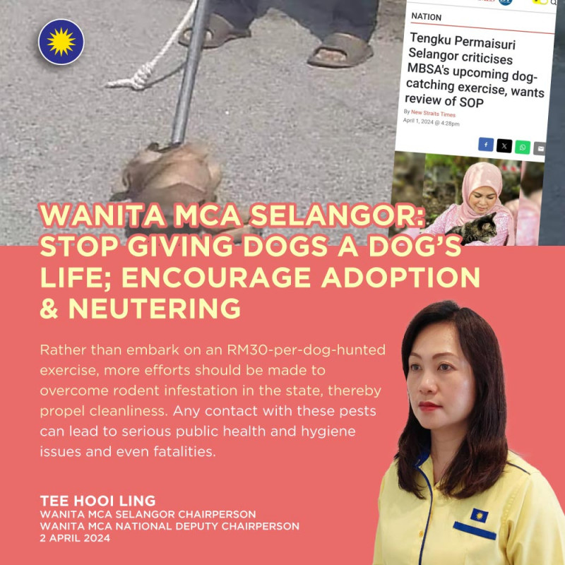 Go after the rats, leave the dogs alone, says Wanita MCA