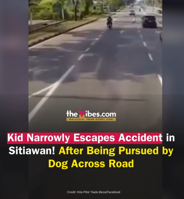 Boy almost run over by car after being chased by dog