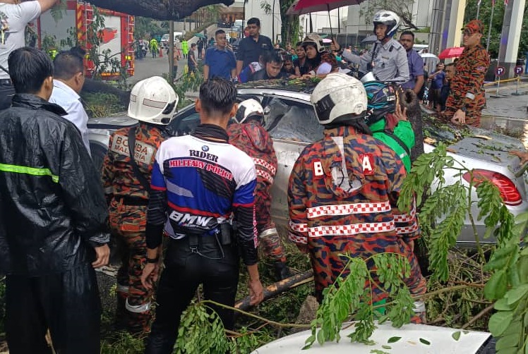 Man dies after tree falls on car during thunderstorm in KL