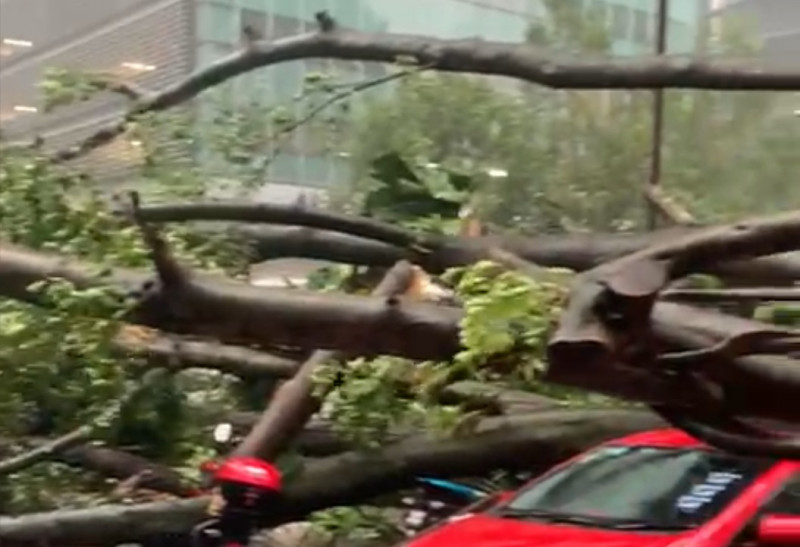 Another uprooted tree damages vehicles in KL, causes road closure