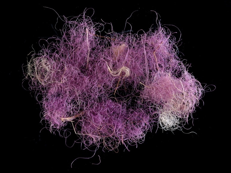 Israelis find ‘royal purple’ fabric from King David era