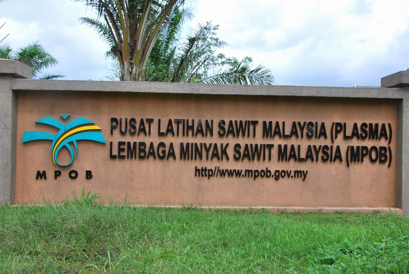 Palm Oil industry seeks strategic incentives in budget 2026 to boost exports, yields and sustainability
