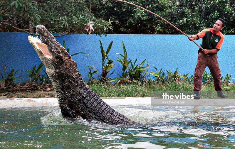 Langkawi Wildlife Park faces tough times despite launching donation drive