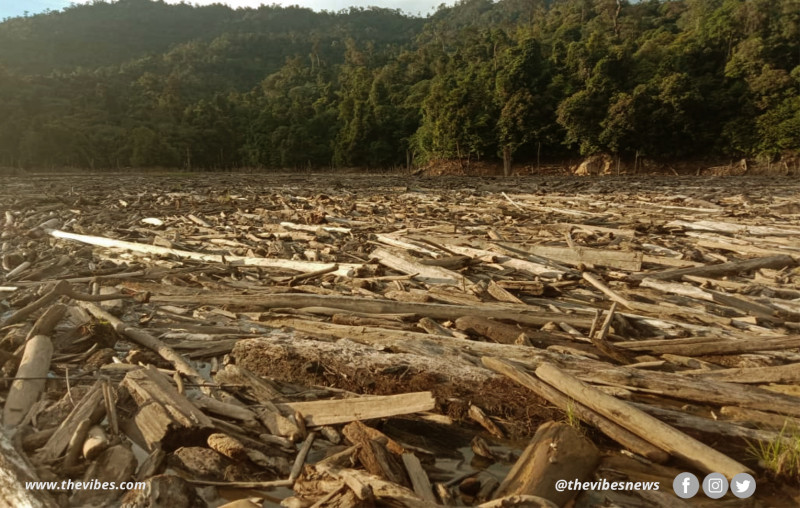 Logging debris chokes central S’wak rivers, natives cut off
