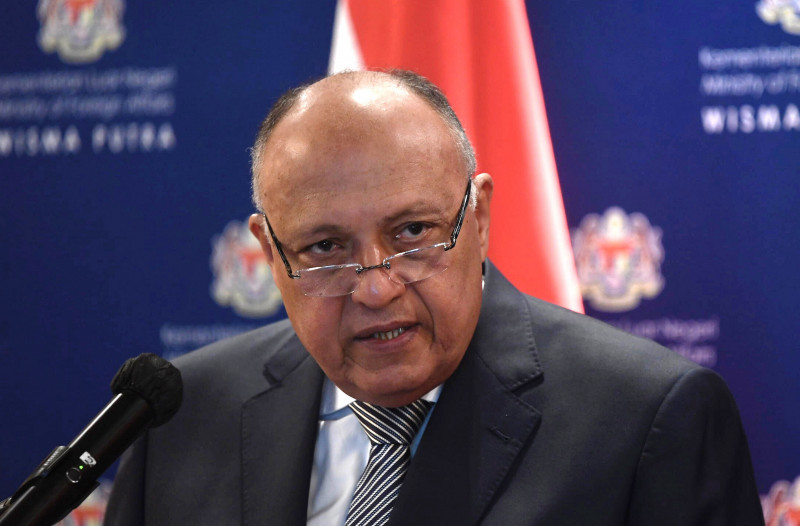 Egypt-Malaysia ties should focus on palm oil, ICT: Egyptian minister