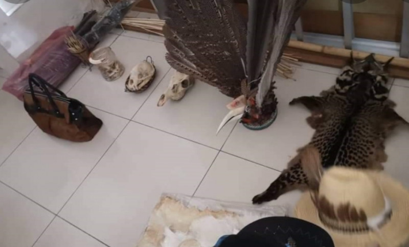 Sarawak native handicraft outlets found selling wildlife parts: SFC