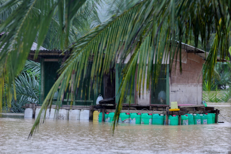 DIY floating coop, cage save livestock from floods