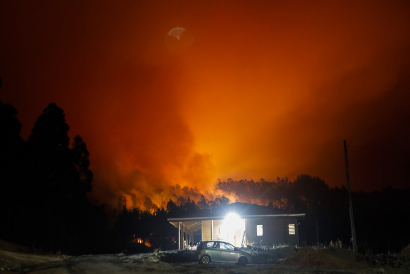 Death toll in Chile forest fires rises to 22: official