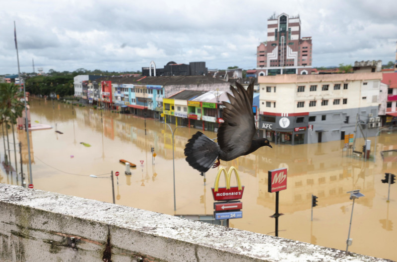 Kluang MP tables emergency Dewan motion on floods