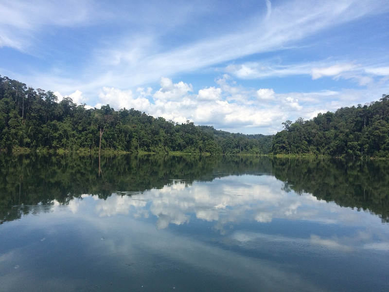 Soldier missing in Belum Forest since April 7: police
