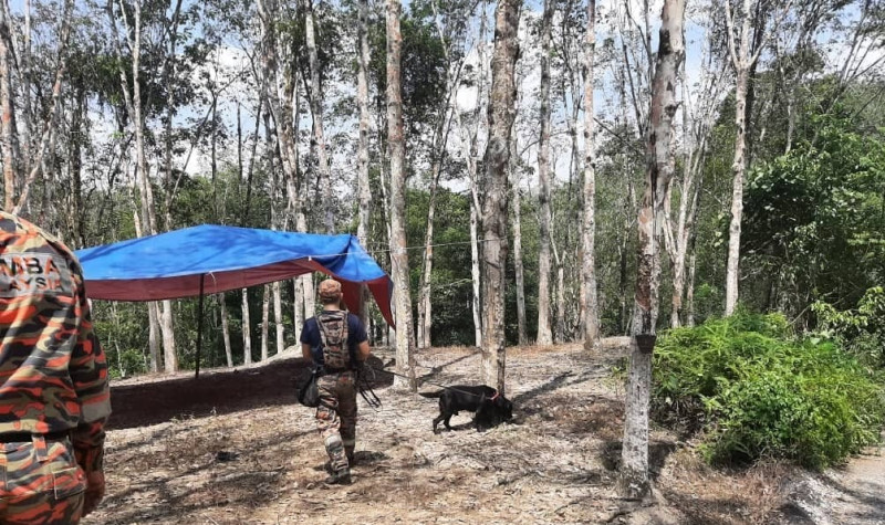 Second day of search operation fails to locate missing teen