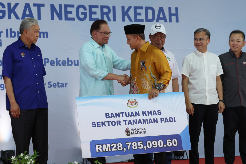 Anwar pledges RM3 bil to enhance Kedah padi yield