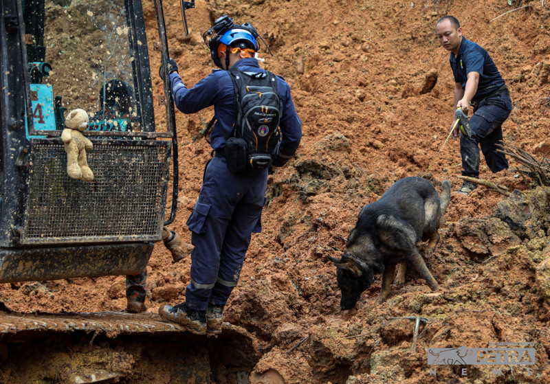 Batang Kali landslide: search for last victim goes on with focus on Sector A