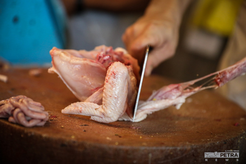 Chicken price hike will not burden rakyat too much: farmers’ association