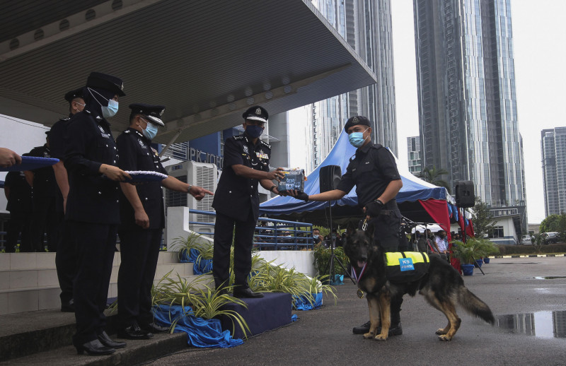 Good police dogs Mailo, Barny bag awards