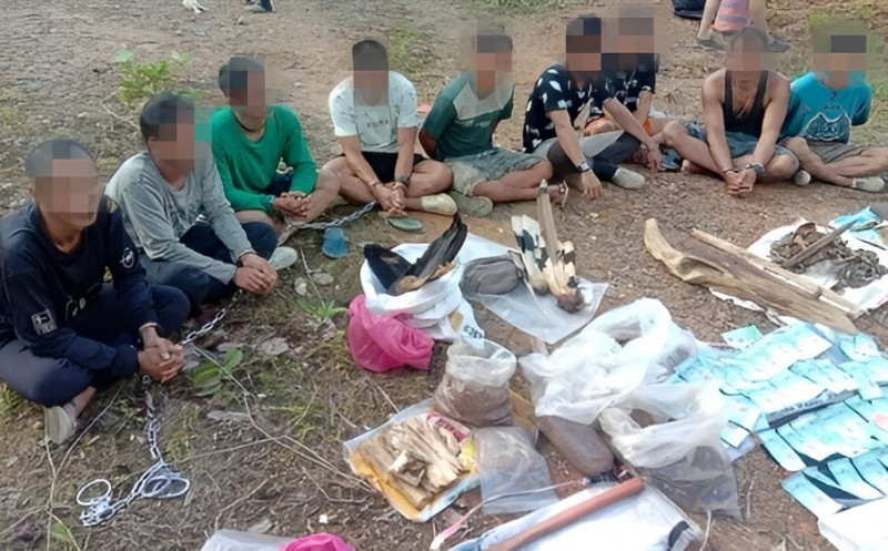 S’wak authorities detain nine foreigners for having hornbill parts