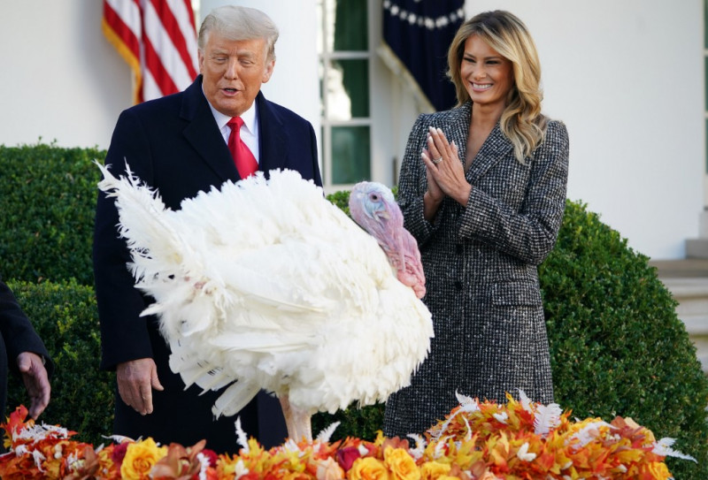 Lame duck Trump pardons turkey but dodges elephant in room