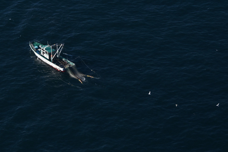 Three dead as Japan fishing boat collides with Russian ship