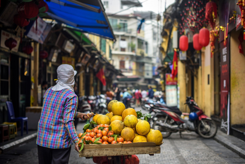 Virus plunges Vietnam's growth to lowest level in decades