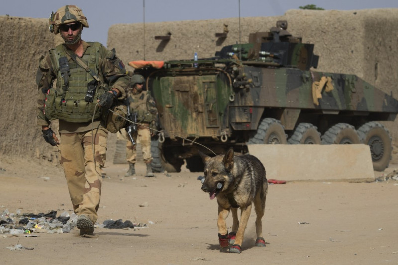 Explosive device kills three French soldiers in Mali