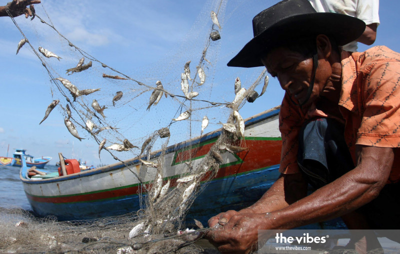 Not all fisherfolk against Penang reclamation project