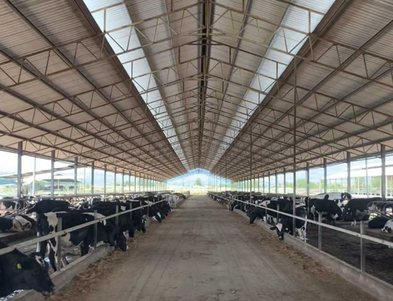 ‘FGV’s new fresh milk factory at Linggi farm can process 30,000 litres a day’