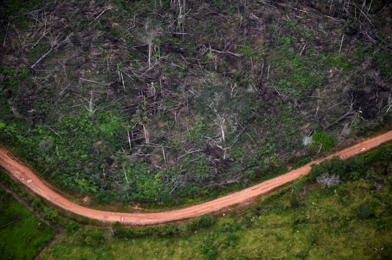 Nature loss means deadlier future pandemics, UN warns
