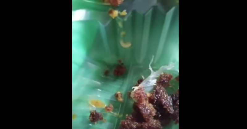 Maggot-infested quarantine lunch a gross oversight, say leaders