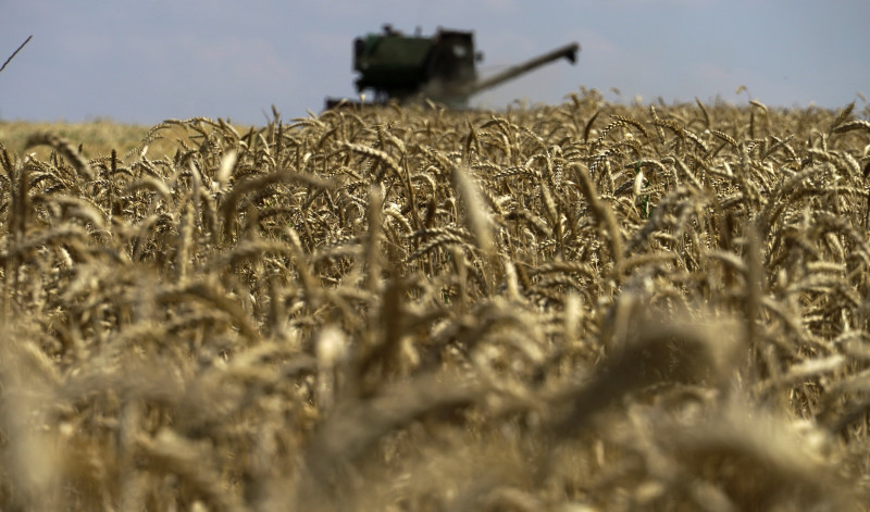Turkiye plans meeting with Russia, Ukraine to discuss grain export deal