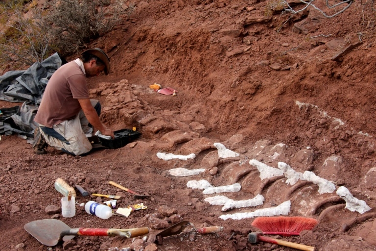 New Patagonian dinosaur may be largest yet: scientists