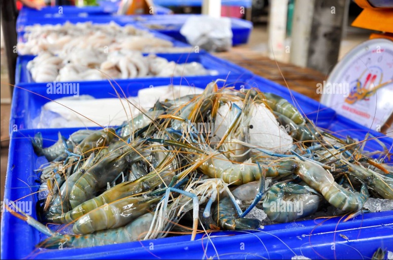 Prawn dispute a rising threat to Thai-Malaysia relations