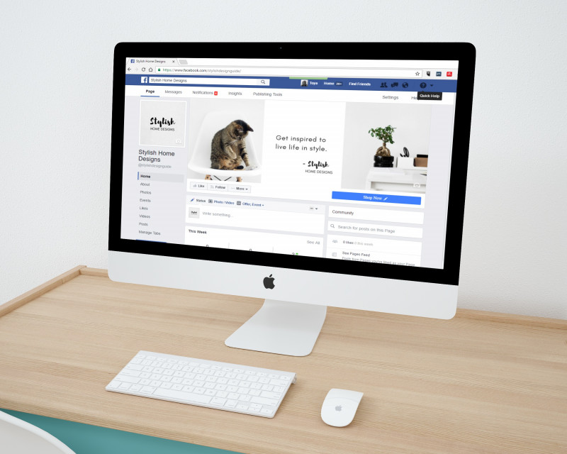 Apple revenue tops US$100 bil for first time, FB profits surge