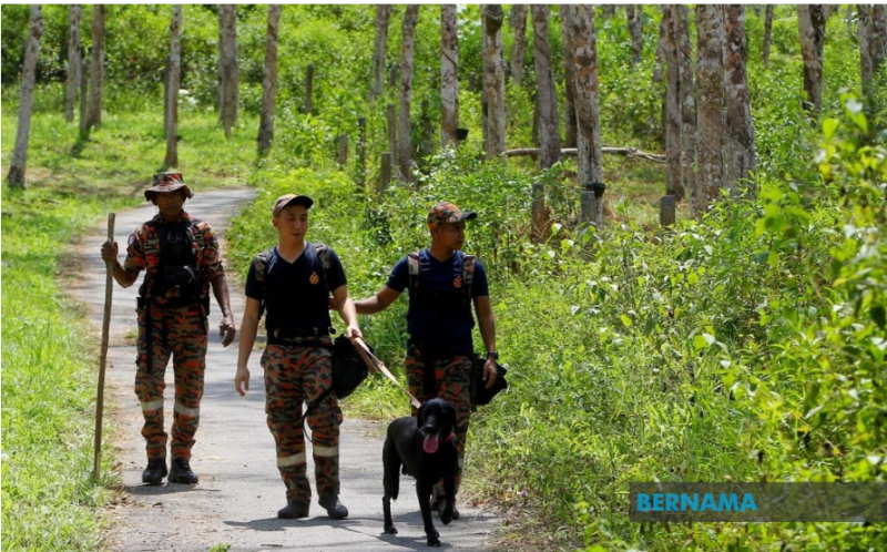 Search area expanded beyond Perak's border for tourist lost in Cameron jungle