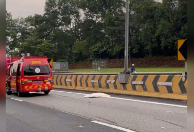 Fatal road accidents claim lives of toddler and court director 