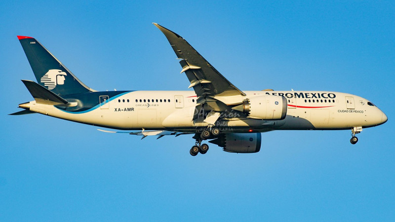 Plane aborts landing in Mexico’s second safety incident