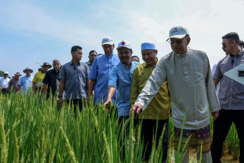 PM visits organic paddy project in Desa Gemalai