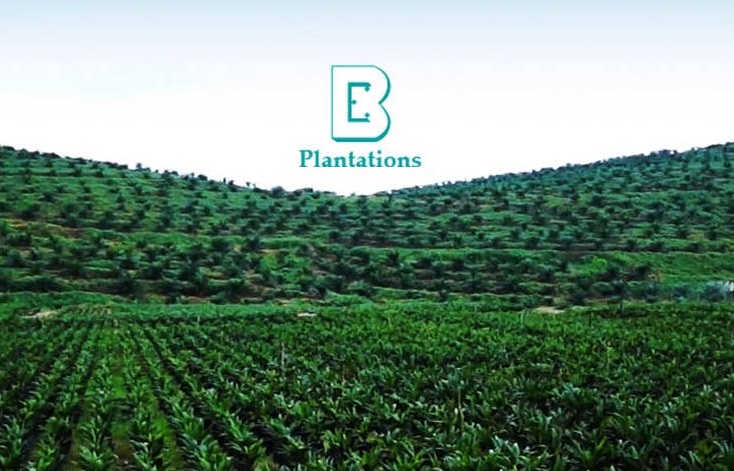 Boustead Plantations records RM595.31 mil net profit in FY2022