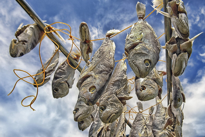 Heat boosts salted fish production in Balik Pulau