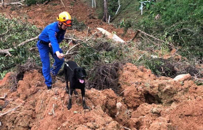 Rescue ops at Batang Kali continue with help of K9 Unit