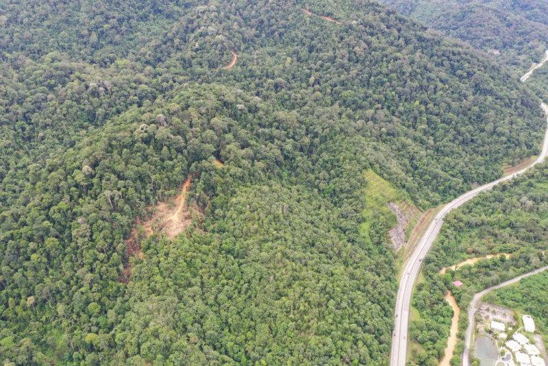 Bald Bentong hilltops spark environmental, safety concerns