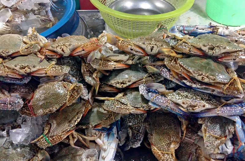 Thai seafood market coronavirus infections top 1,000