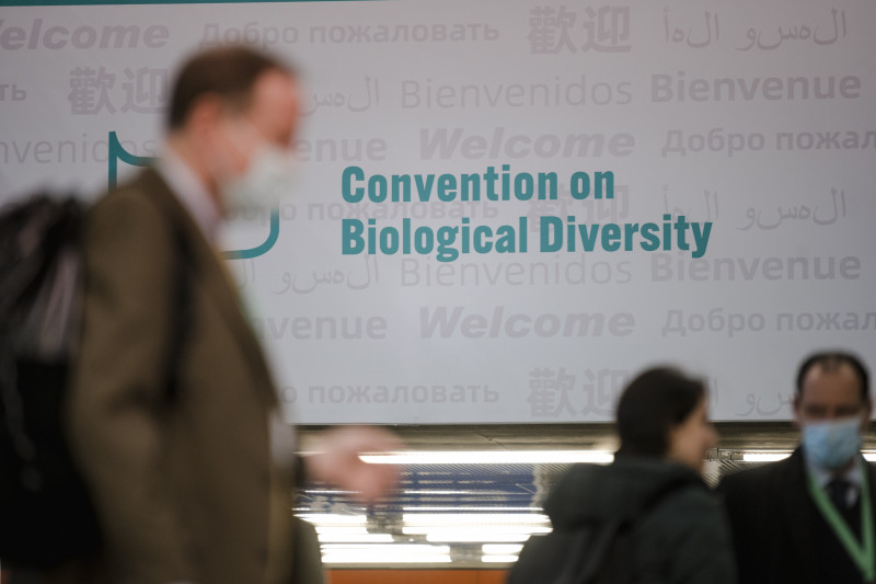 China to save biodiversity summit with compromise text