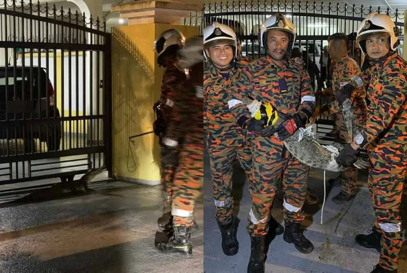 Lost juvenile crocodile found outside home in Lahad Datu