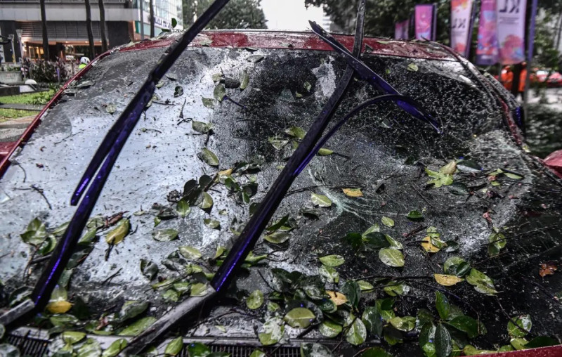 KL City Hall ordered to pay RM824,180 over fatal falling tree incident