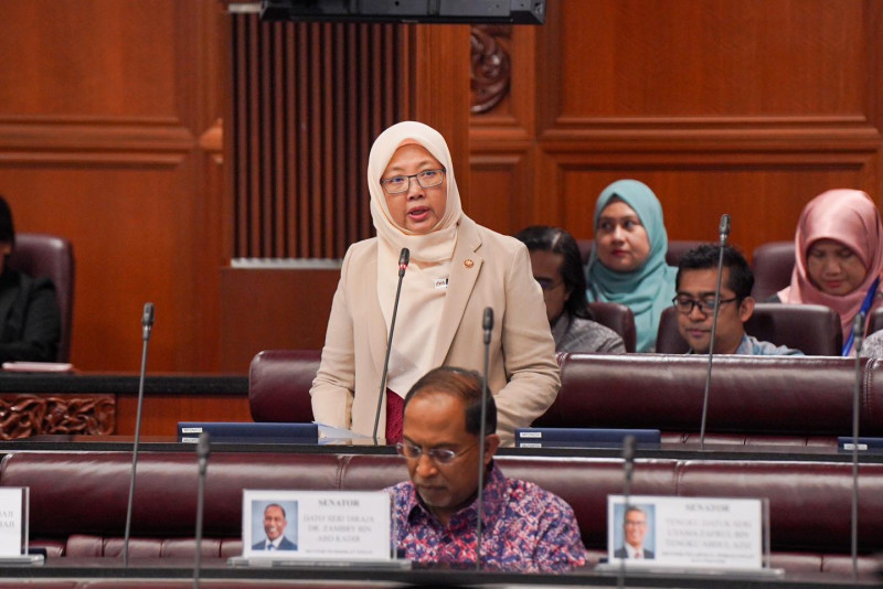 Kampung Sungai Baru not part of Malay agricultural settlement or reserve land, says Minister